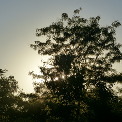 Session @ French Awkwardness studio