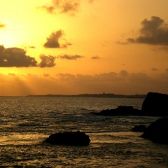 ف هويد الليل - على الحجار