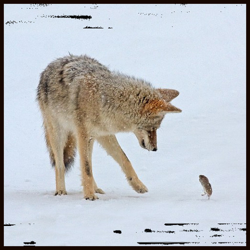 Alone, Together