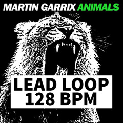 Martin Garrix Pluck Lead From Animals (24bit 96k)