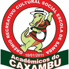 Escola De Samba Acadêmicos Do Caxambú - "Brincadeira de Criança"