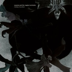Susanna and the Magical Orchestra - Enjoy the Silence