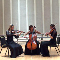 Classical Musicians/Ceremony Music