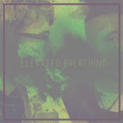 Elevated Breathing (Demo)