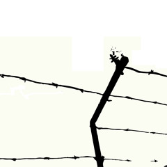 Diego Linx - Um Ano de Mim - 08 Agosto E Os Cortes No Rosto