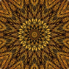 Would You Care At All (Ft. Cammie Minnich)