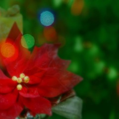 Biền Mặn - Nhac Trần Thiện Thanh - Giọng ca Trương Huy Tùng