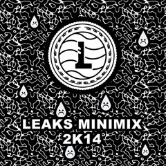 LOWERS LEAKS MINIMIX 2X14