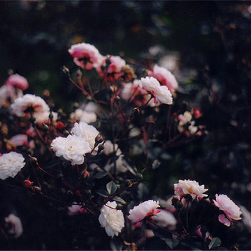 آلله يناديك ,"]