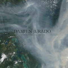 Damien Jurado - Everything Trying (live in Milan)