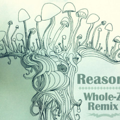 Reason (Whole-Z Remix) - feat. Noah Kahan