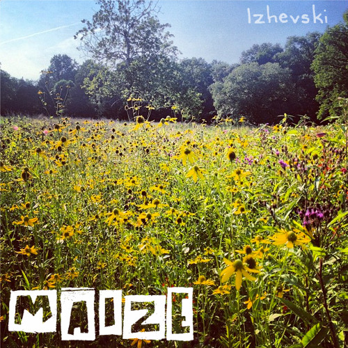 Izhevski Cotton Studio: Maize / August 28, 2008
