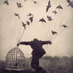 So os loucos sabem (Charlie brown Jr. - Sebastian Gaspari Cover)