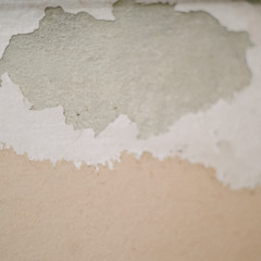 อุตุนิยม