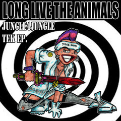 THE JAZZ BASS SO DARK ( TEKNO JUNGLIST REMIX ) LLTA JUNGLE 4 JUNGLETEK E.P