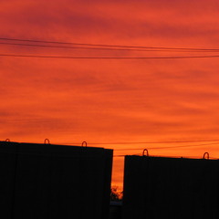 `Little Fake She´ by We All Came to Kill