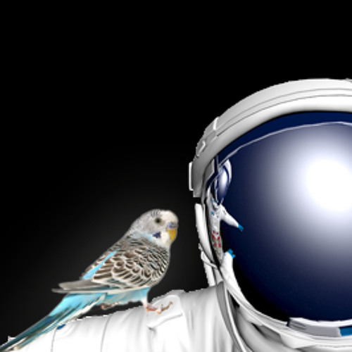 Time & Space Radio Show - TSRS#086 - Birdy @ Le Nid, Nantes, 06 Feb 2014, Pt. 2