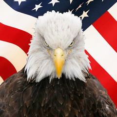 England Sucks (MC Biologikal Diss)