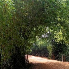 music đương đạiii