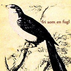 Fri som en fugl