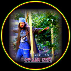 Sennid Tunes selected by WiCkEd T