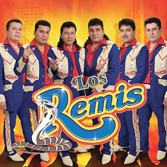 Los Remis a tu salud