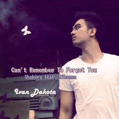 Can't Remember To Forget You (Shakira feat. Rihanna Cover)