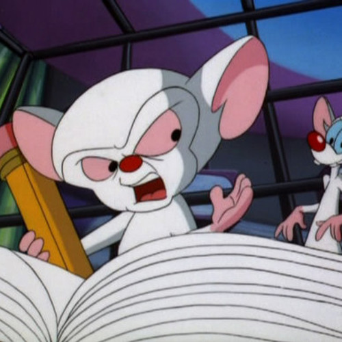 Pinky and the Brain - بينكي و برين