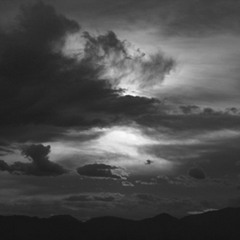 log hog - ominousness