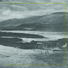 RoughLung - A (Forthcoming)