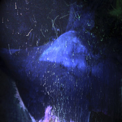 Hermit's dream of mountain ash