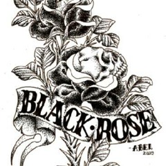 Your Momma Don't Dance