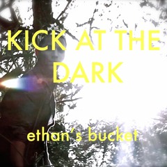 Kick At The Dark