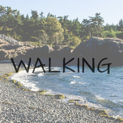 003 Walking (Prod. by rizzo.)