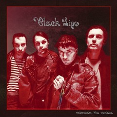 Black Lips - 05 "Dorner Party"