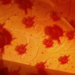 Never Let You Go (cover by Sandee Galope)