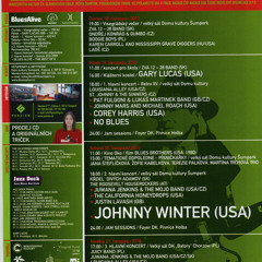 Pat Fulgoni - Help Me (live blues cover)