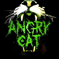 Angry Cat - What It´s Like