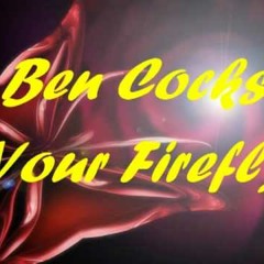 Your Firefly (VierViertelTakt Edit)