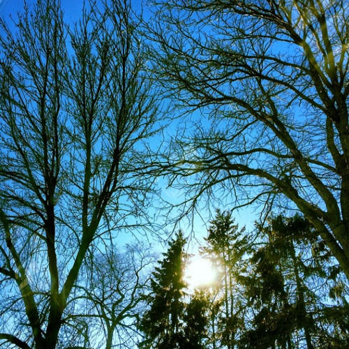 Small Memory Of The Wider Sun