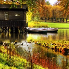 Not In My Back Yard !