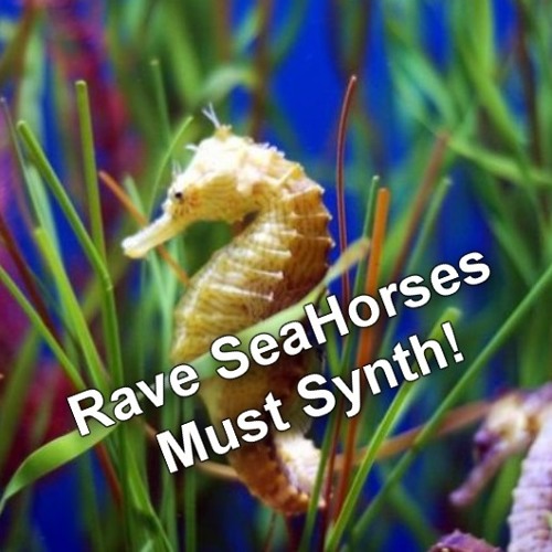 Rave Sea Horses Must Synth!