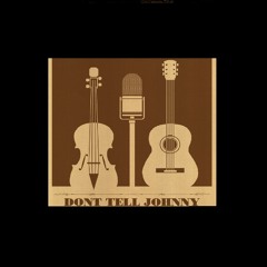 No Place to Fall (Townes Van Zandt Cover)