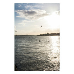 Warm Feels (PREVIEW)