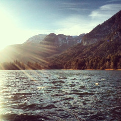 Nationalparks Austria Water Field Recordings