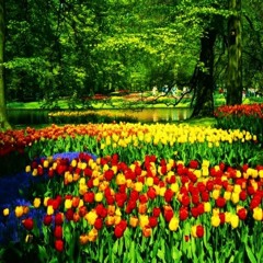 Spring Memories