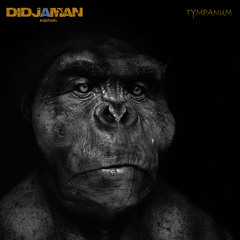 " TYMPANUM "  - Raphaël DIDJAMAN - Lp 2014