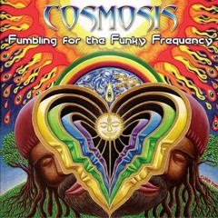 cosmosis - beyond the five senses