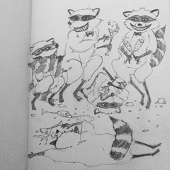 raccoon radio