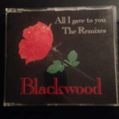 Blackwood - All I gave to you (F. Klinkert Mix)